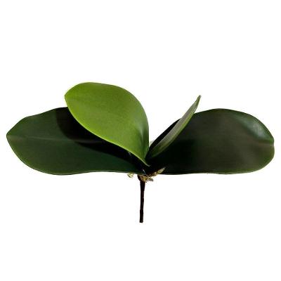 Folha Orquidea Artificial Verde 22 Cm - D'rossi