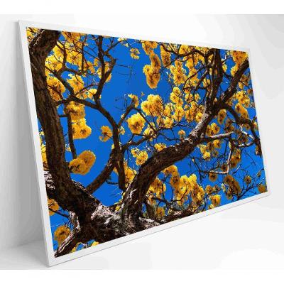 Quadro Ipê Amarelo Em árvore Do Cerrado Medidas 80x120 Cm Tipo De Impressão Tecido Canvas