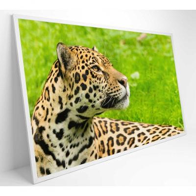 Quadro Onça Pintada No Pantanal Medidas 60x40 Cm Impressão Tecido Canvas