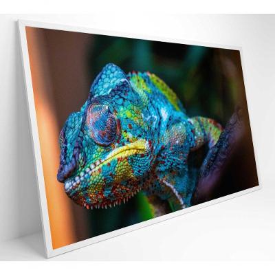 Quadro Camaleão Cores Vibrantes Medidas 60x40 Cm Impressão Vidro Acrílico