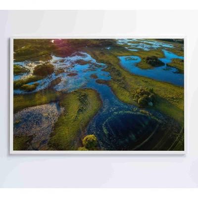 Quadro Lagos Inundadas No Pantanal Medidas 60x40 Cm Impressão Vidro Acrílico