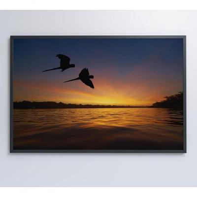 Quadro Por Do Sol No Pantanal Medidas 90x60 Cm Impressão Tecido Canvas