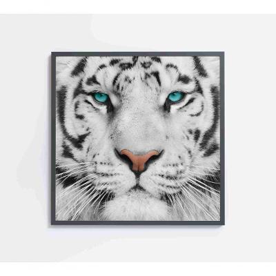 Quadro Tigre Branco Medidas 60x60 Cm Impressão Tecido Canvas