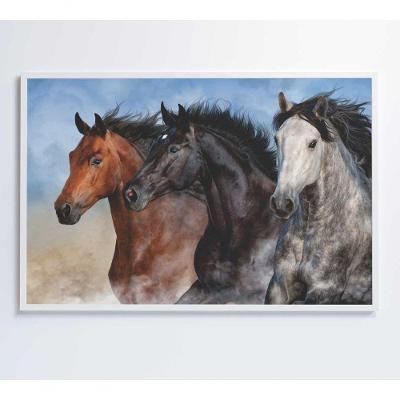Quadro Cavalos Correndo Medidas 60x40 Cm Impressão Adesivo Fotográfico