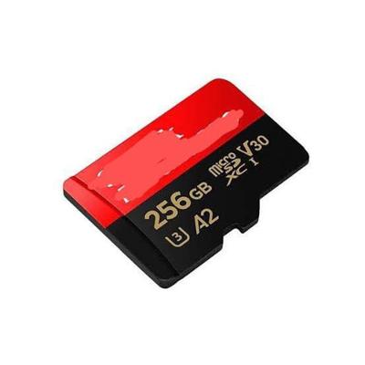 Cartao De Memoria De 256 Gb 170 Mbs