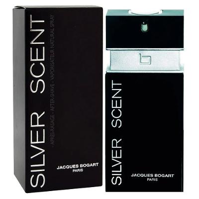 Perfume Masculino Silver Scent Edt 100 Ml