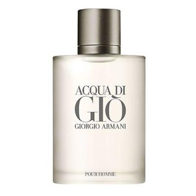 Perfume Acqua Di Gio Pour Homme Eau De Toilette Ga Masculino 100ml