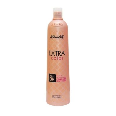Emulsão Reveladora Ox 06 Volumes Salles Profissional 900ml