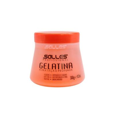 Gelatina Capilar Salles Profissional 300g