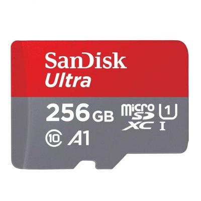 Cartão de Memória De 256 Gb Sandisk 100 Mbs