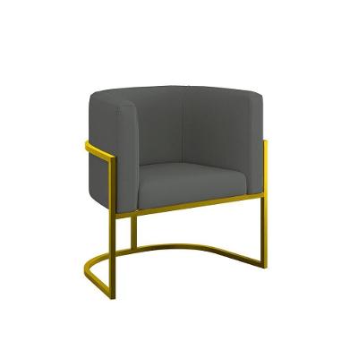 Poltrona Moderna Veludo Com Base De Metal Gold Balaqui Cinza