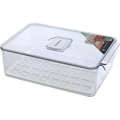 Caixa Organizadora Para Geladeira Com Tampa Acrilico 10x21x32cm