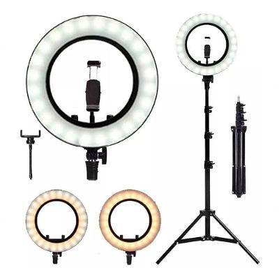 Right Light Ring Led 26 Cm +tripé 2 Metros Youtuber Tic Toc