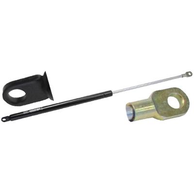 Amortecedor Mola Gás Tampa Porta-malas Ford Scala 68 A 89 [f103]