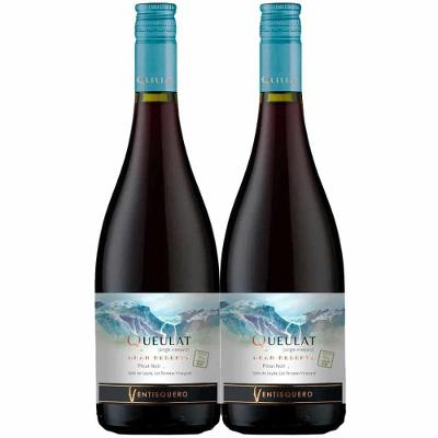 Kit 2 Garrafas Vinho Tinto Ventisquero Queulat Gran Reserva Pinot Noir 750ml