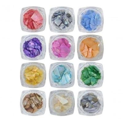 Kit 12 Madrepérola Grande Decoraçao Pedrarias Joias Strass