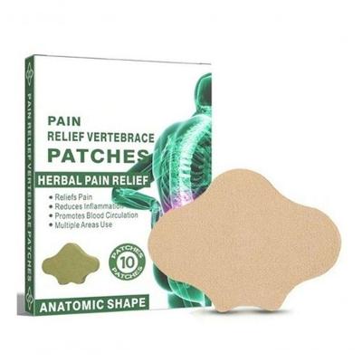 Kit 10 Adesivos Terapéuticos Para Alivio De Dor 100% Natural