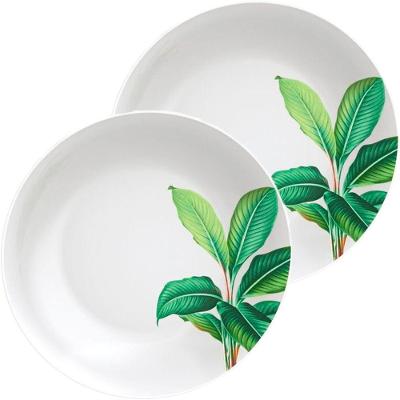 Kit Jogo De Pratos Fundo Sopa 8 Pessoas 8pçs Graziela 21cm