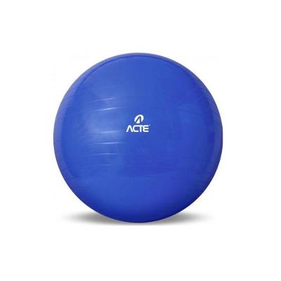 Gym Ball 65cm Azul