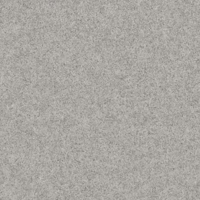 Papel De Parede Colorkey Concreto Cinza Col1036