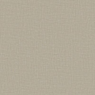Papel De Parede Criativo Textura Bege Cr333306r