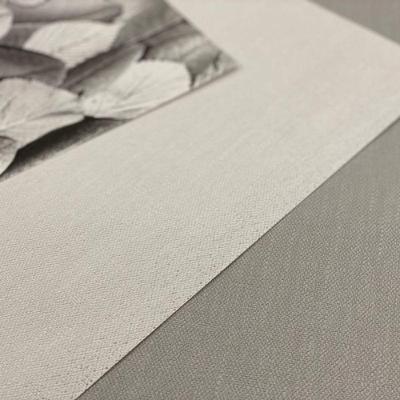 Papel De Parede Imagine Smooth 31721 Rolo 10m X 0,53m