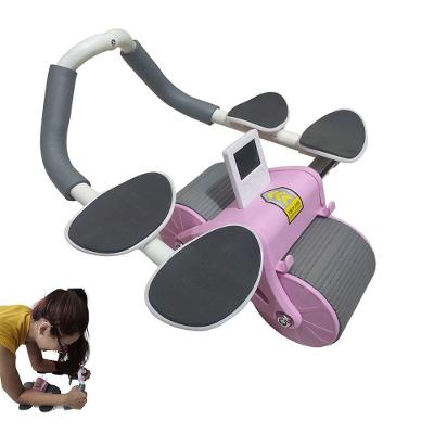 Rolo Abdominal Exercicio Roda Abdomen Musculaçao Prancha Ombro Braço Academia Treino Atividade Fisica Musculo Fortalecimento