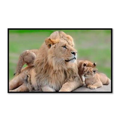 Quadro Decorativo Leão Dominante 100x70cm
