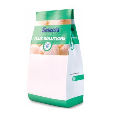 Base Semipronta Balanceada Selecta 1 Kg - Açaí