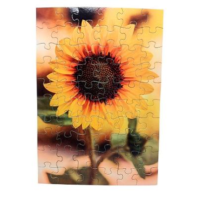 Kit 4 Quebra-cabeças Relaxante Flores Floral 40 Peças