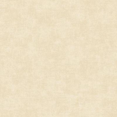 Papel De Parede Ciara Textura Bege A53702