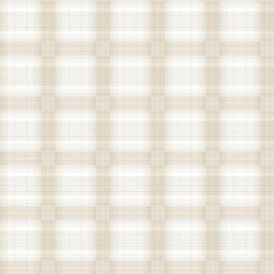 Papel De Parede Line Art Aspecto Têxtil Pc8v044 - Rolo 10m X 0,53m
