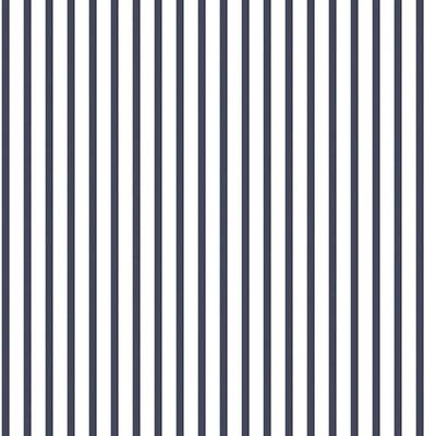 Papel De Parede Smart Stripes 2 Listras Horizontais G67535 - Rolo 10m X 0,53m