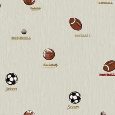 Papel De Parede All Kids Esportes H2910504 Rolo 10m X 0,53m