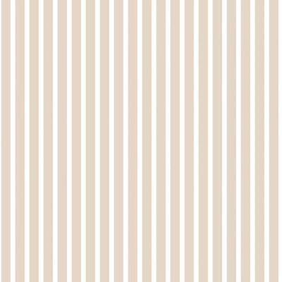 Papel De Parede Smart Stripes 2 Listras Verticais G67538 - Rolo 10m X 0,53m