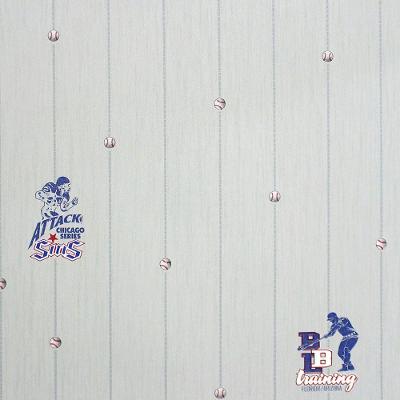 Papel De Parede All Kids Linha Esportiva H2910405 Rolo 10m X 0,53m