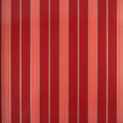 Papel De Parede Listrado Classic Stripes Ct889116 Vinílico - Rolo 10m X 0,53m