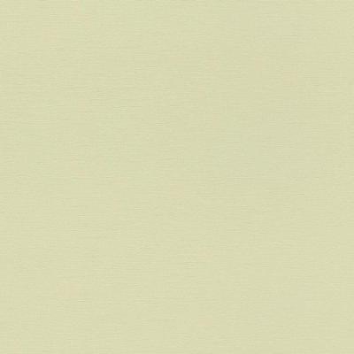 Papel De Parede Bambino Xviii Cor única 531435 Rolo 10m X 0,53m