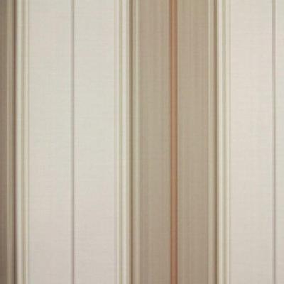 Papel De Parede Listrado Classic Stripes Ct889102 Vinílico - Rolo 10m X 0,53m