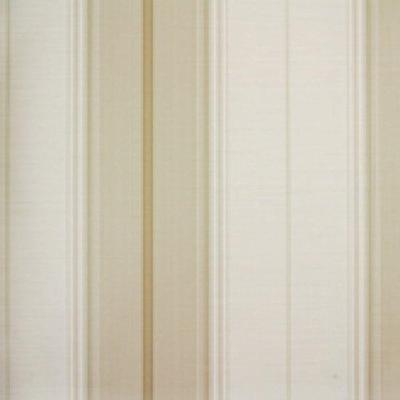 Papel De Parede Listrado Classic Stripes Ct889104 Vinílico - Rolo 10m X 0,53m