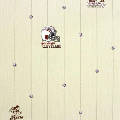 Papel De Parede All Kids Linha Esportiva H2910401 Rolo 10m X 0,53m