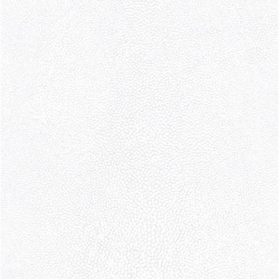Papel De Parede Natural Fx 2 Textura Branco G67470