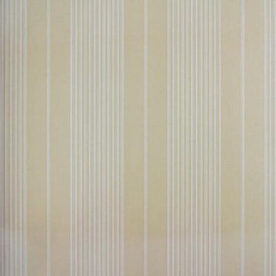 Papel De Parede Listrado Classic Stripes Ct889047 Vinílico - Rolo 10m X 0,53m