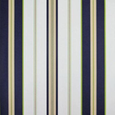 Papel De Parede Listrado Classic Stripes Ct889066 Vinílico - Rolo 10m X 0,53m