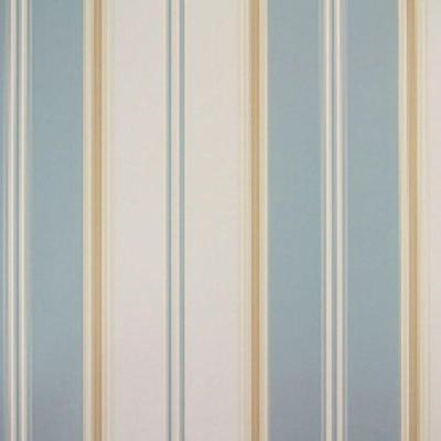 Papel De Parede Listrado Classic Stripes Ct889035 Vinílico - Rolo 10m X 0,53m