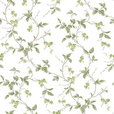 Papel De Parede Kitchen Recipes G12265 - Rolo 10m X 0,53m