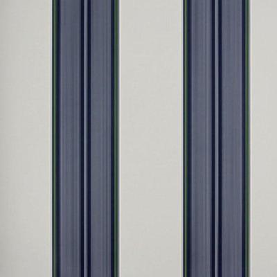 Papel De Parede Listrado Classic Stripes Ct889043 Vinílico - Rolo 10m X 0,53m