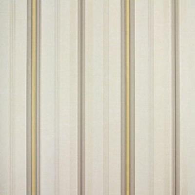 Papel De Parede Listrado Classic Stripes Ct889088 Vinílico - Rolo 10m X 0,53m