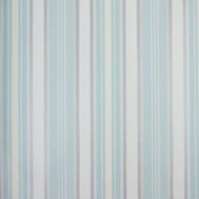 Papel De Parede Listrado Classic Stripes Ct889078 Vinílico - Rolo 10m X 0,53m