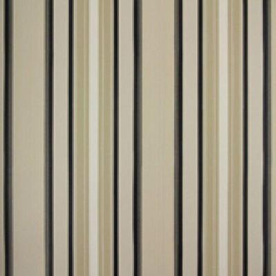 Papel De Parede Listrado Classic Stripes Ct889027 Vinílico - Rolo 10m X 0,53m